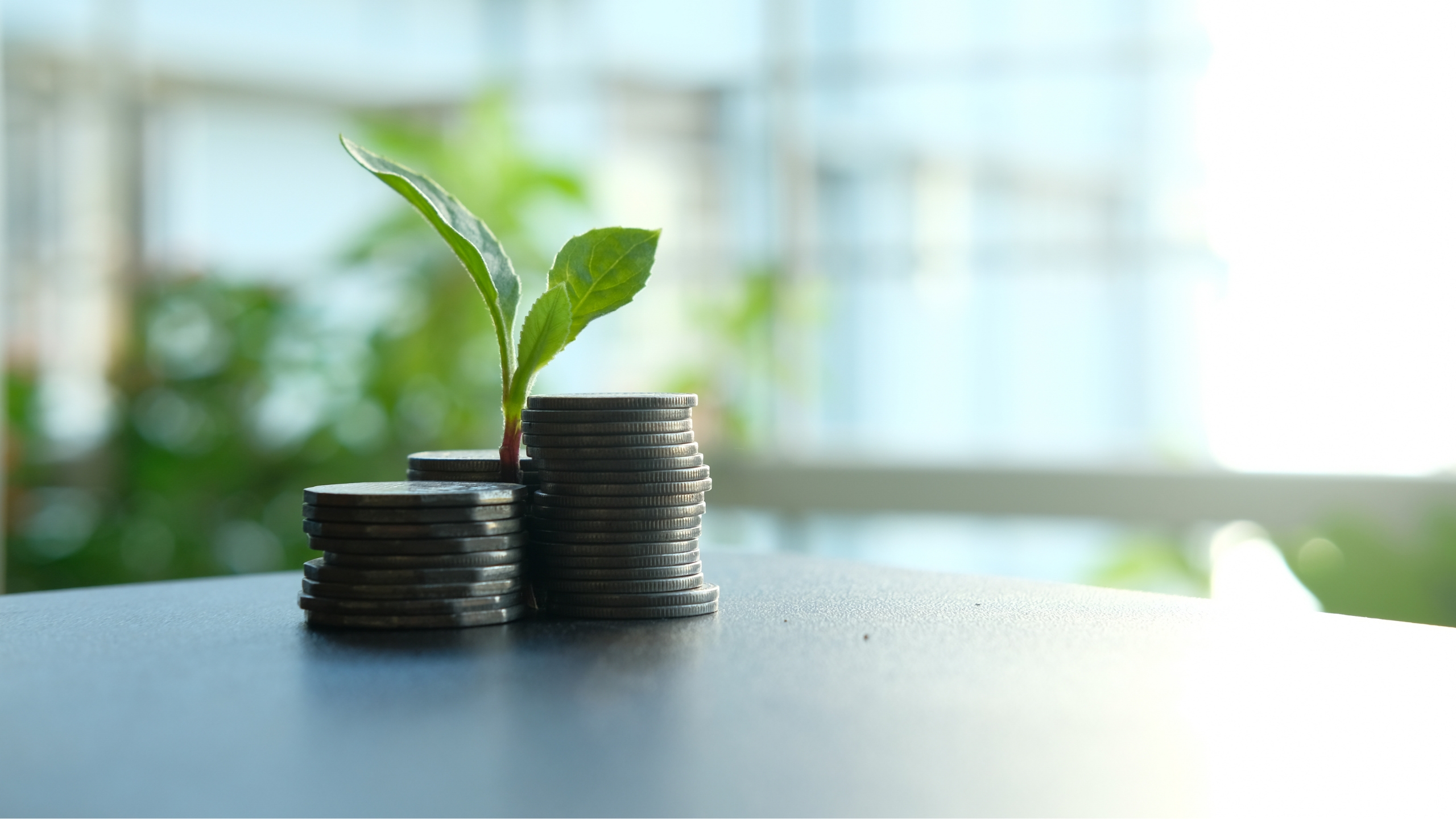 Green_finance_Fair_Venture_blog.jpg