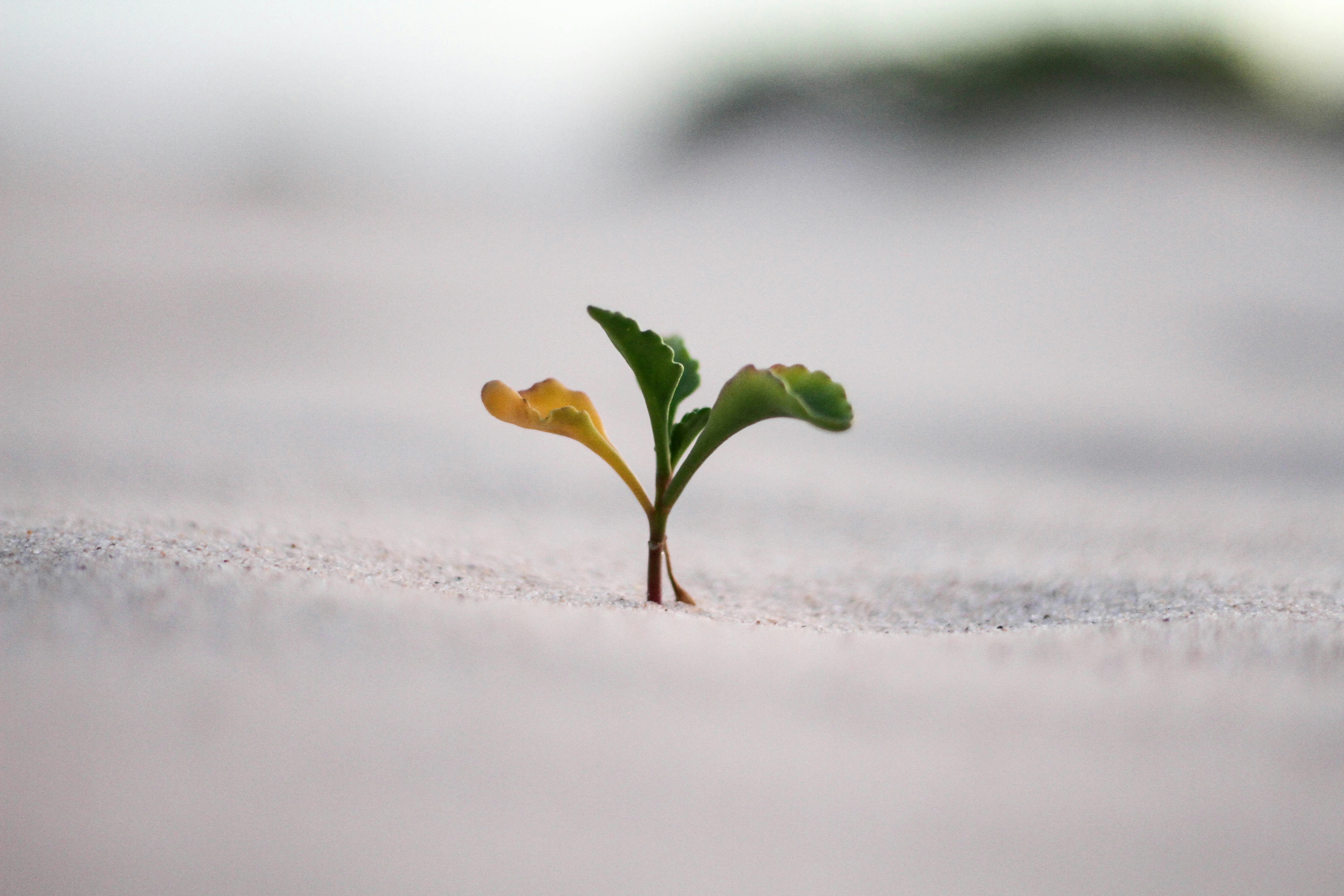 jeremy-bishop-vGjGvtSfys4-unsplash_1.jpg