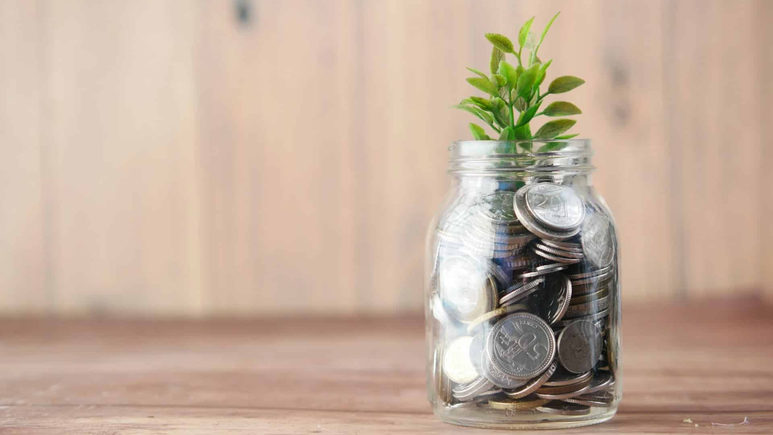 Zelene_financovani_Fair_Venture_blog.jpg